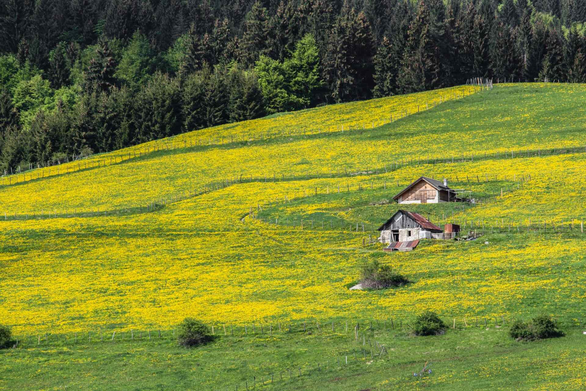 Baite Maddarello